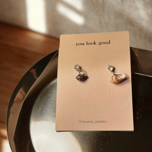 Earrings